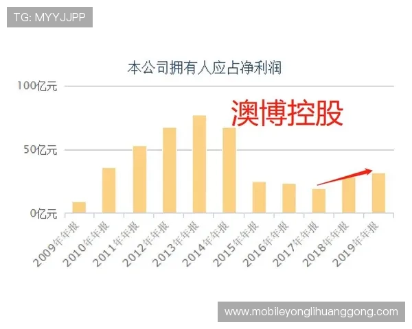 澳门六张赌牌最新政策变化及未来发展趋势全面解析，帮助投资者把握行业机遇