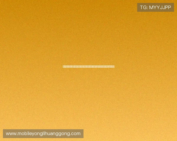 澳门巴黎人门票价格详解及提前预订指南，确保你的行程顺利无忧享受奢华体验