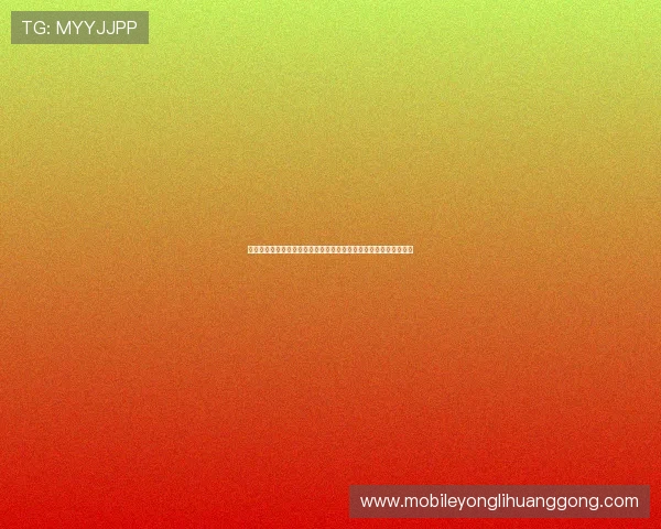 新濠天地网站安全保障措施详解确保每位玩家的资金与个人信息安全
